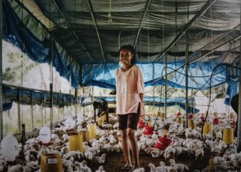 Joven Produtivu Hametin Ekonomia Rai Laran