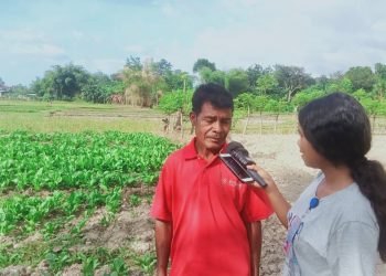 Servisu Nu’udar To’os Na’in Hodi Muda Oan Nia Futuru