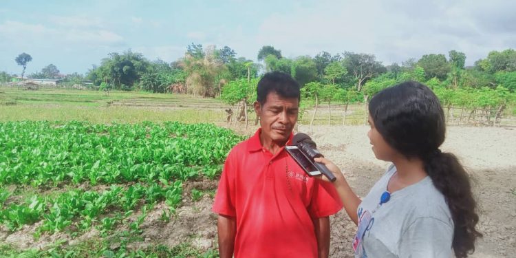 Servisu Nu’udar To’os Na’in Hodi Muda Oan Nia Futuru