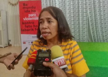 TINAN NE’E ALFELA REJISTU KAZU VIOLÉNSIA 487