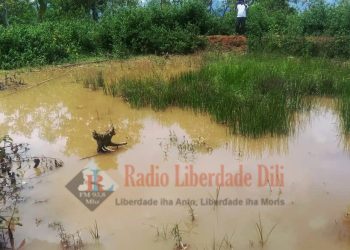 Komunidade Suku Fatukeru Ke’e Debu Iha Foho Leten, Hodi Hamósu Bee Moos