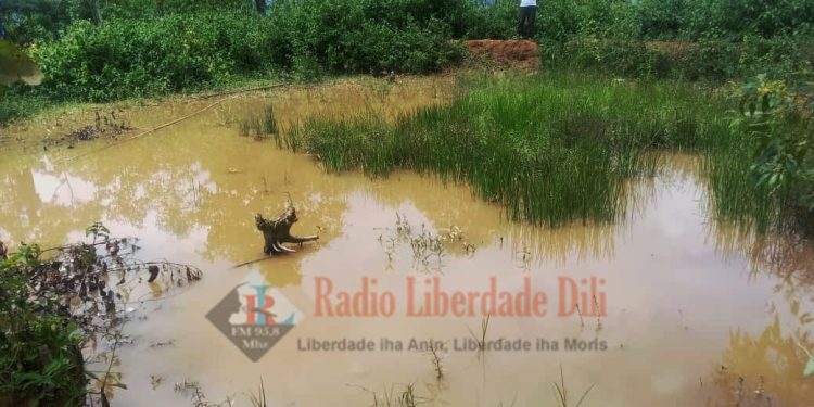 Komunidade Suku Fatukeru Ke’e Debu Iha Foho Leten, Hodi Hamósu Bee Moos