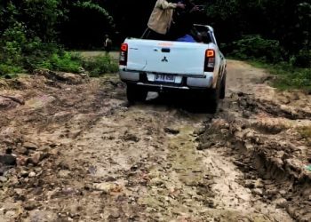 Hetan Ona Liberdade, Loré Oan Seidauk Senti Dezenvolvimentu