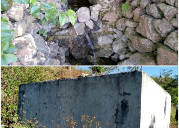 KEJUUS Servisu ho Komunidade sira Konserva Udan been Hodi Uza ba Tempu Bailoron