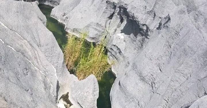 Bee Dadil nu’udar Sítiu Turismu hodi Atrai Vizitante