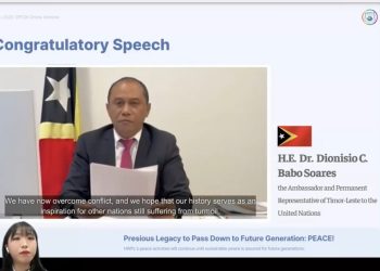 An international Peace NGO held an Online Seminar for the International Law for Peace