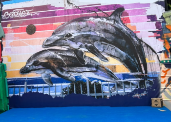 Obra Mural “Jumping Dolphins” Lori Mensajen Kona-Ba Lixu, Arte no Sustentabilidade